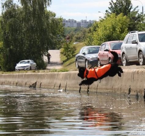 Фотография № 181550