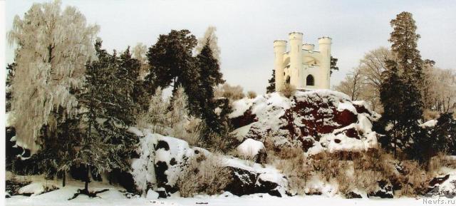 Фотография № 18158