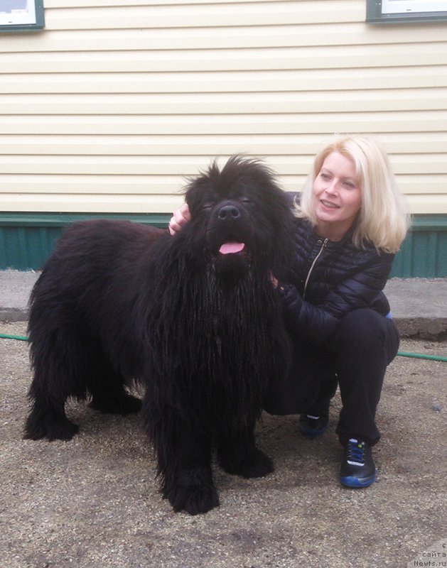 Фотография № 181592