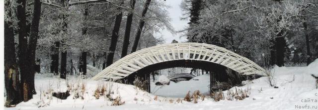 Фотография № 18160