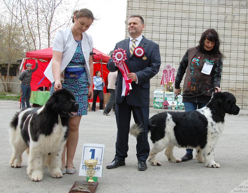 Фотография № 181607