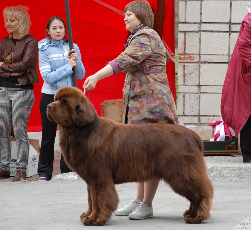 Фотография № 181610