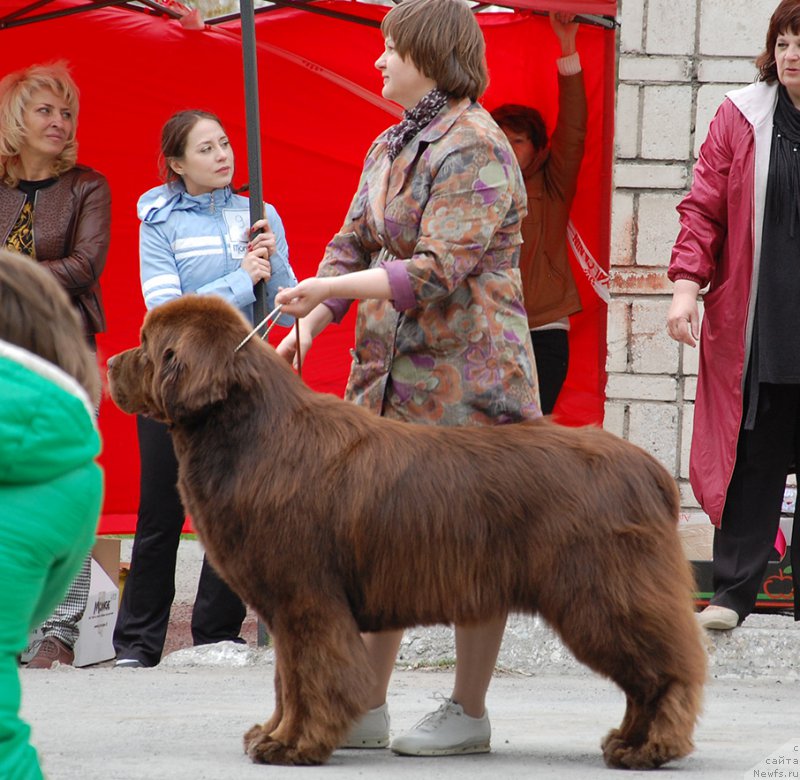 Фотография № 181611