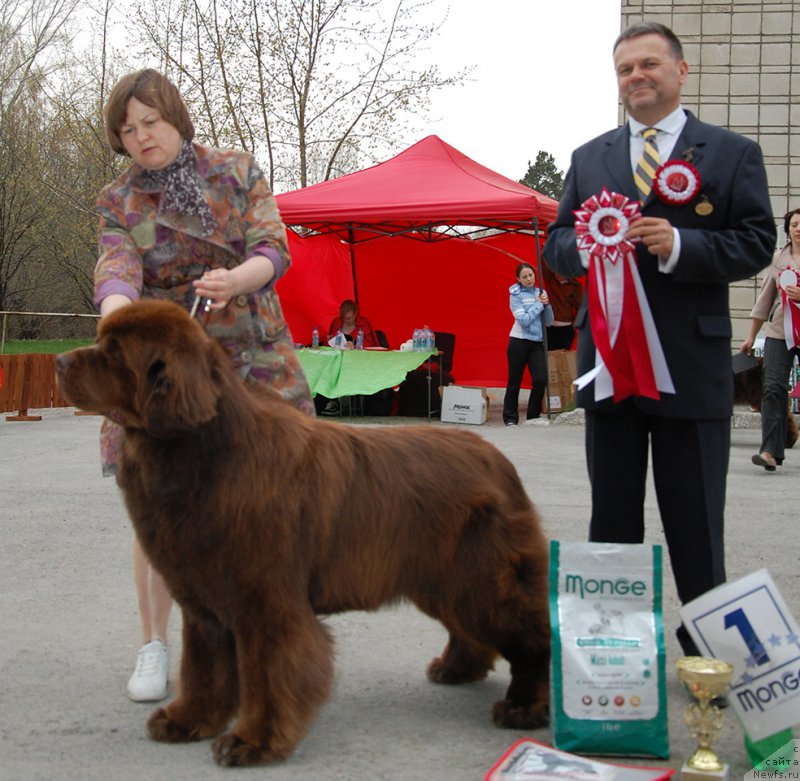 Фотография № 181612