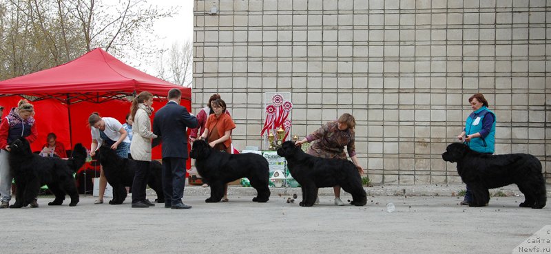 Фотография № 181614