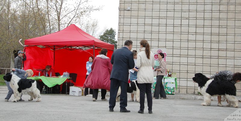 Фотография № 181615