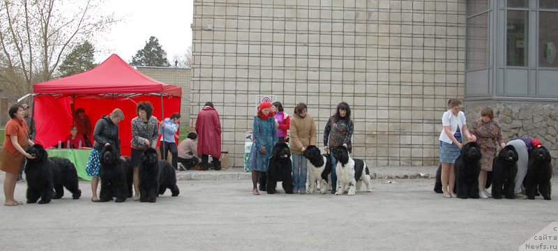 Фотография № 181616