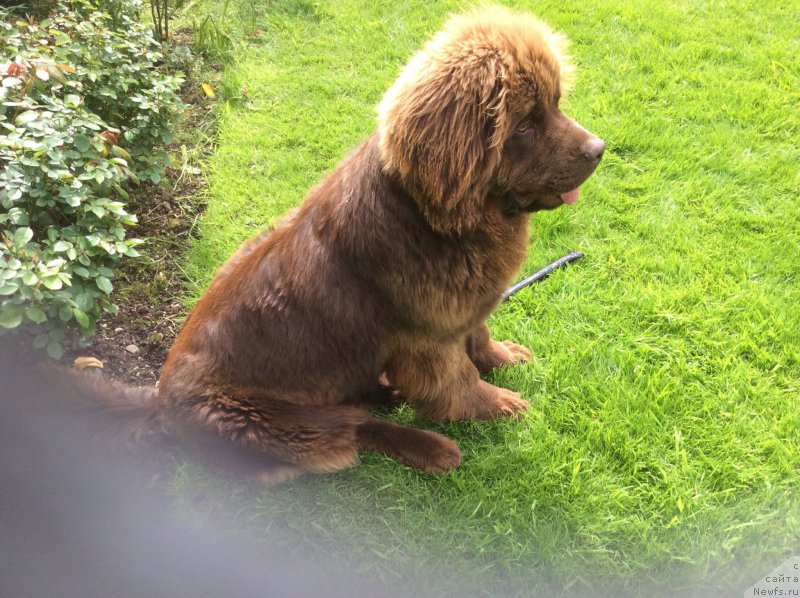 Фотография № 181636