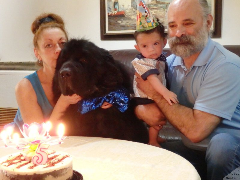 Фотография № 181654