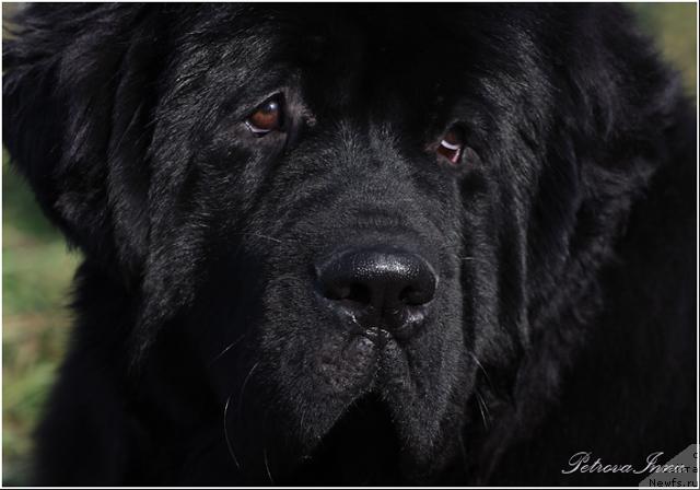 Фотография № 18168