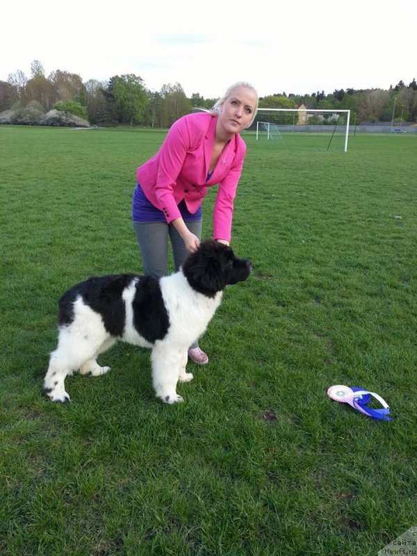 Фотография № 181704