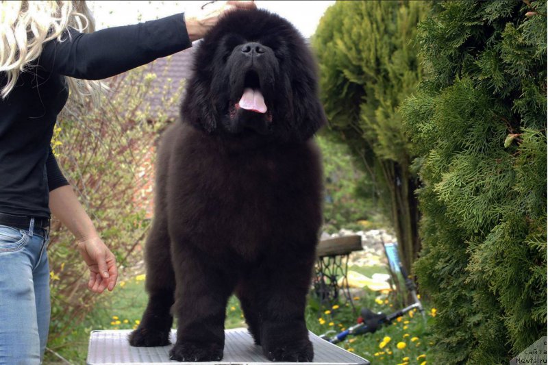 Фотография № 181708