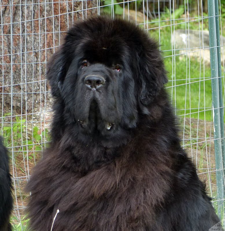 Фотография № 181710