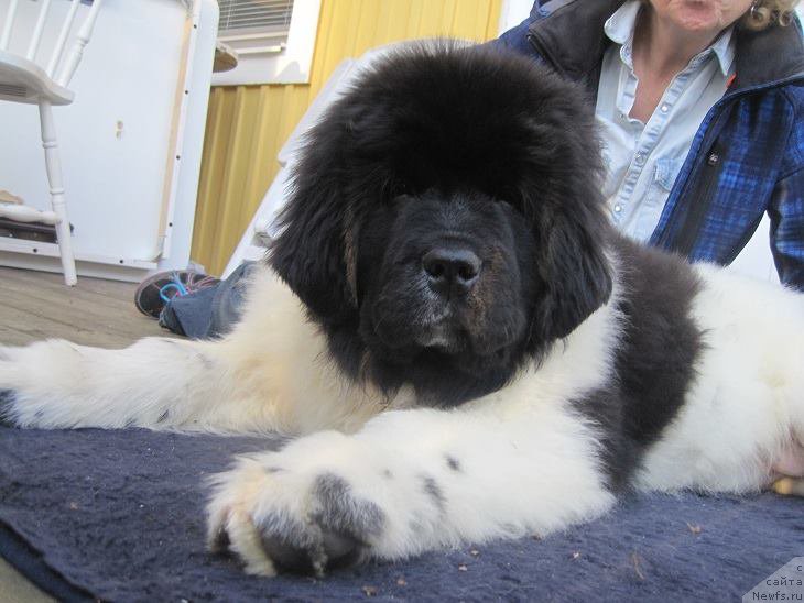 Фотография № 181712