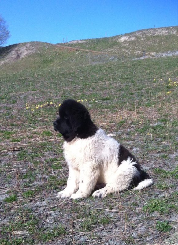 Фотография № 181714