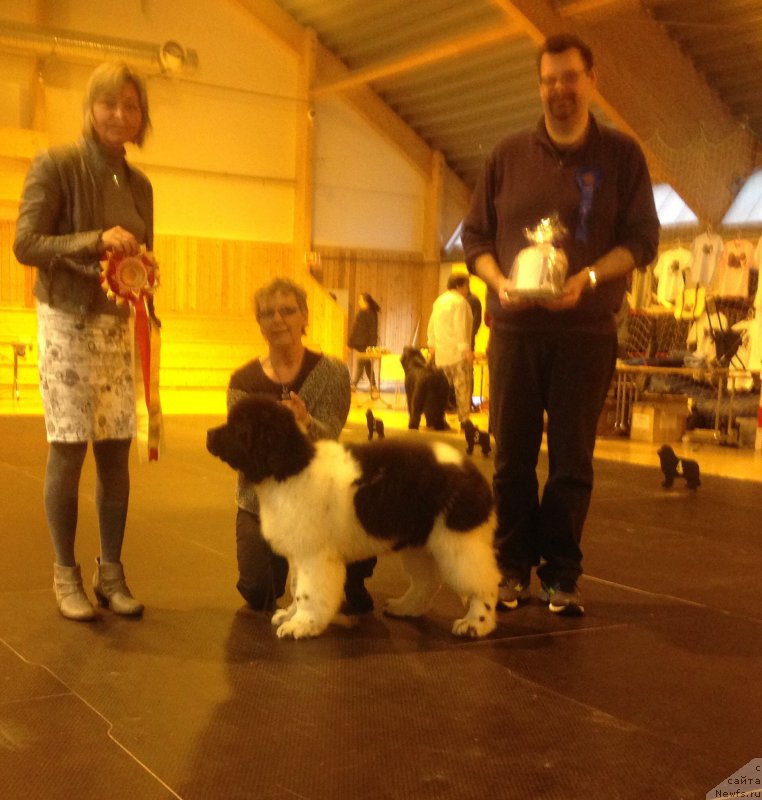 Фотография № 181715