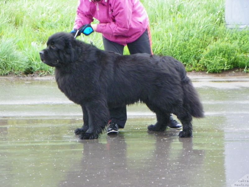 Фотография № 181725