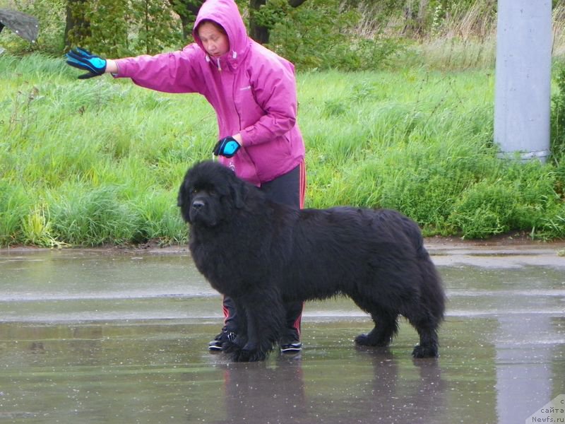 Фотография № 181726