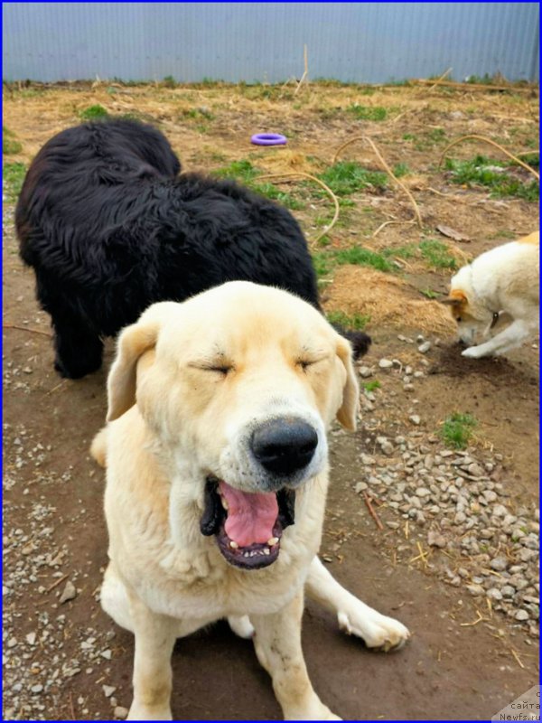 Фотография № 181730