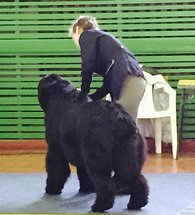 Фото: Бегущая по волнам Чек Пойнт