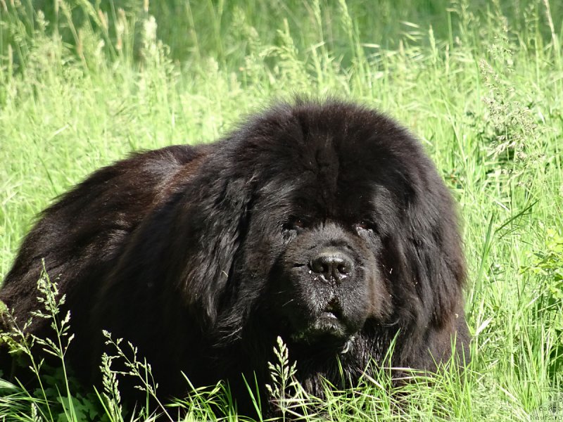 Фотография № 181736