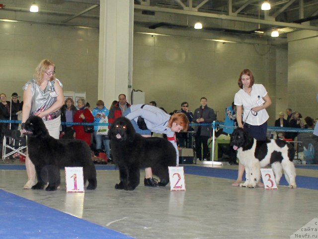 Фотография № 181746