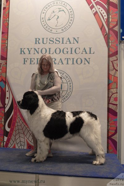 Фотография № 181751