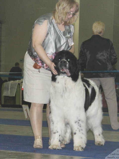 Фотография № 181753