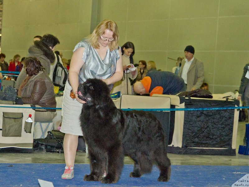 Фотография № 181756