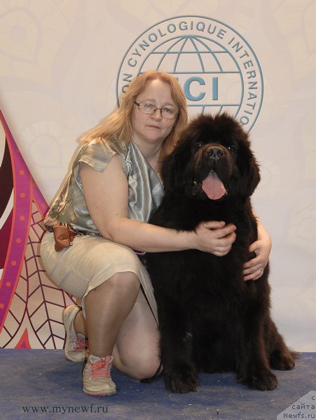 Фотография № 181765