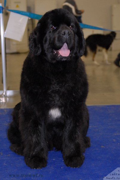 Фотография № 181769