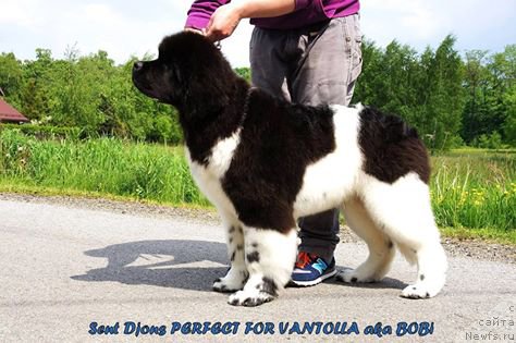 Фотография № 181775