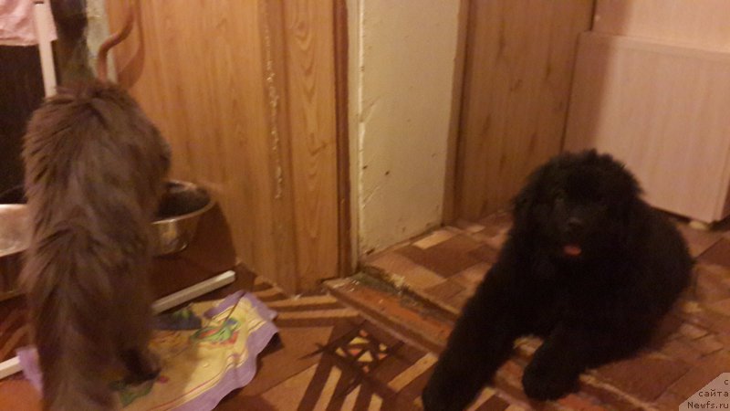 Фотография № 181782