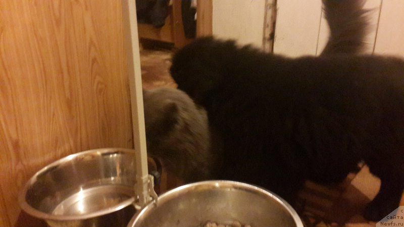 Фотография № 181786