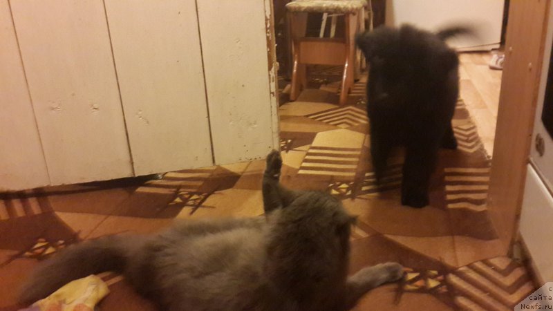 Фотография № 181788