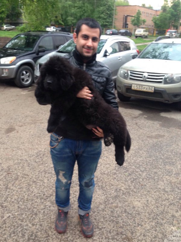 Фотография № 181793