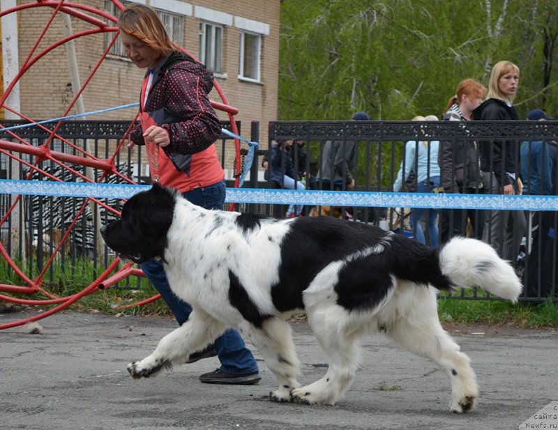 Фотография № 181798