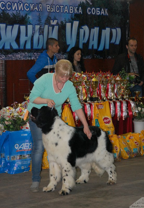 Фотография № 181802