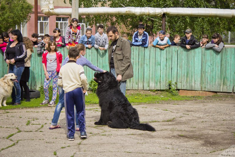 Фотография № 181804