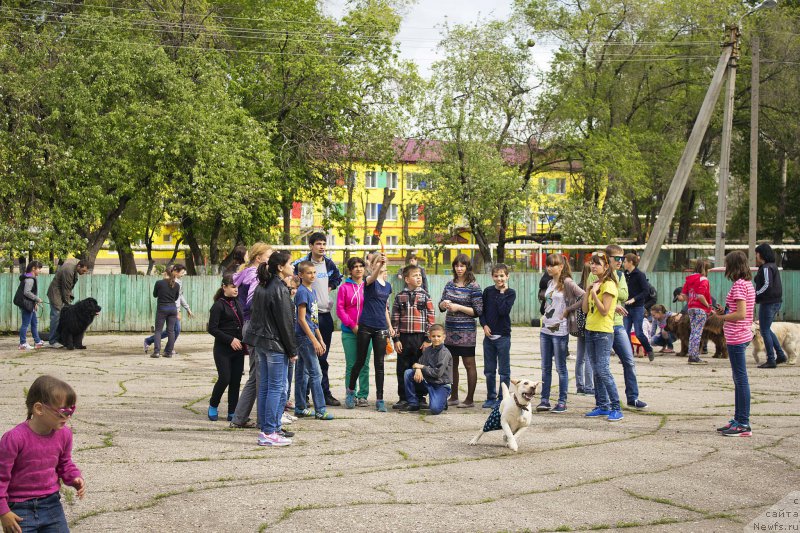 Фотография № 181810