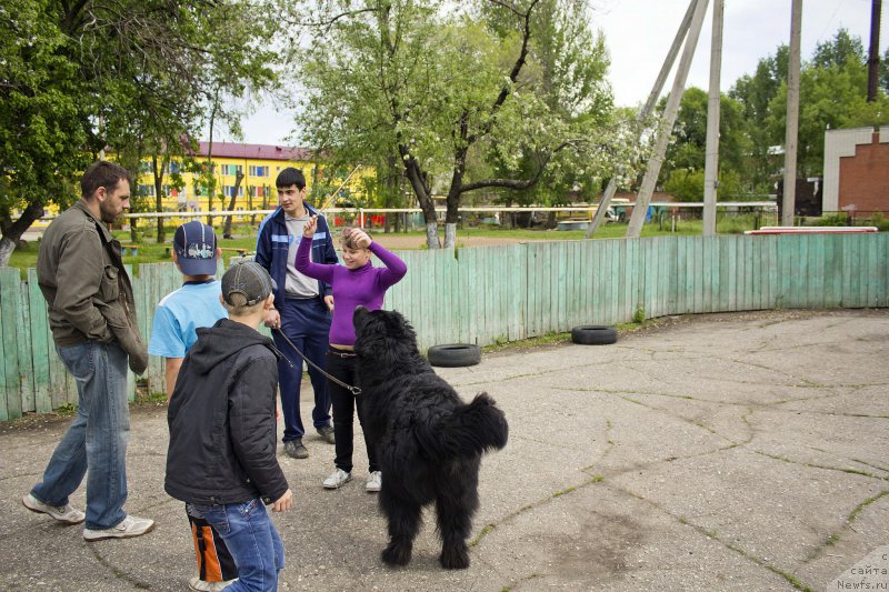 Фотография № 181812