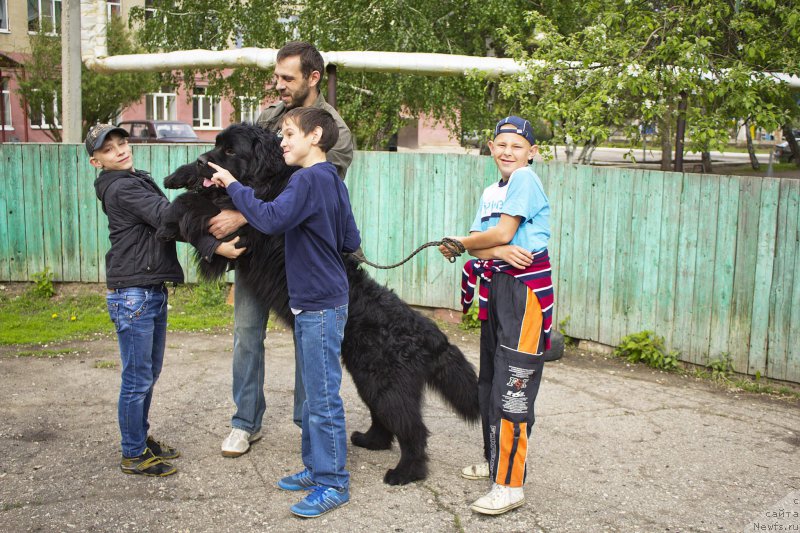 Фотография № 181825