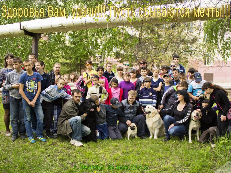 Фотография № 181828