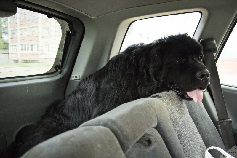 Фотография № 181829