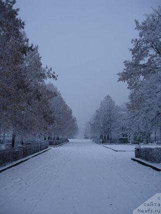 Фотография № 18184