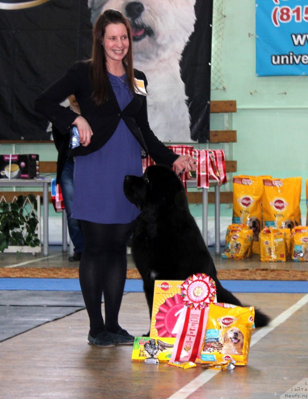 Фотография № 181840