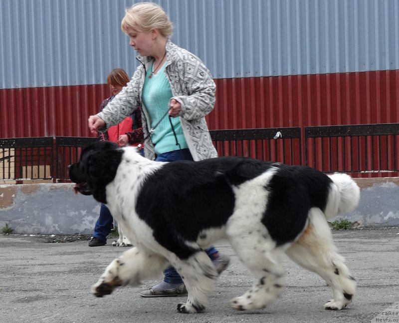 Фотография № 181844