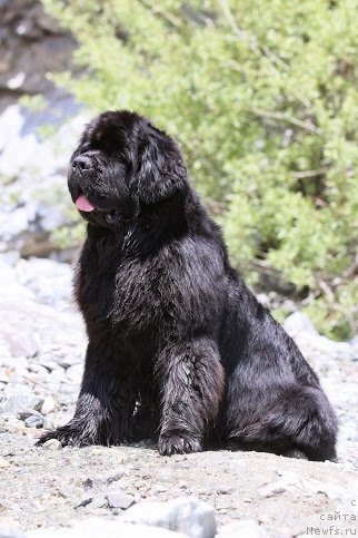 Фотография № 181864