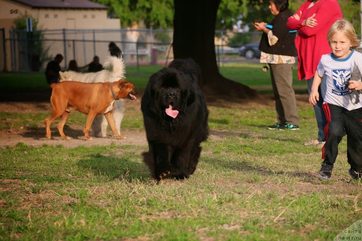 Фотография № 181868