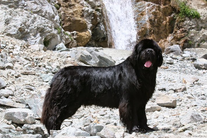 Фотография № 181872